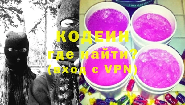 СК Бронницы