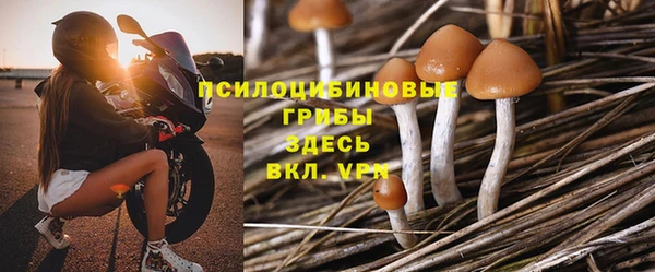 соль курить ск Бородино