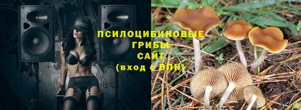 шишки Бугульма