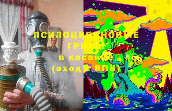 шишки Бугульма
