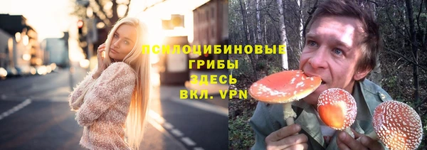 СК Бронницы