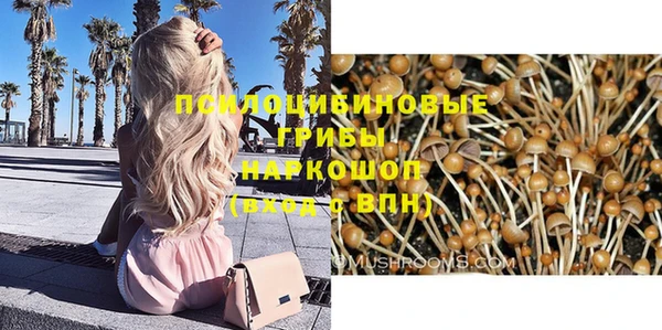 шишки Бугульма