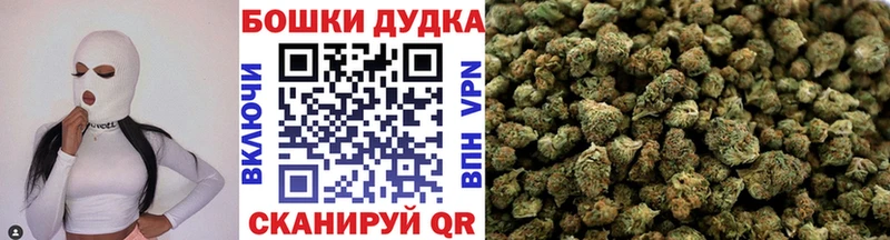 Канабис план  купить наркоту  Берёзовка 